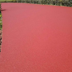 重慶市九龍坡區(qū)彩色生態(tài)透水混凝土地坪  巴中市透水混凝土里面 透水混凝土施工價格 彩色透水混凝土材料生產(chǎn)廠家   壓模混凝土材料廠家 透水粘接劑廠家送貨到工地