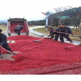 重慶市北碚區 彩色透水混凝土直銷 彩色透水路面加強劑 透水混凝土路面施工 透水路面增強劑 材料廠家全國施工