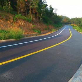 簡陽市 彩色透水混凝土 彩色藝術壓花地坪 生態藝術混凝土地坪 透水地坪材料廠家