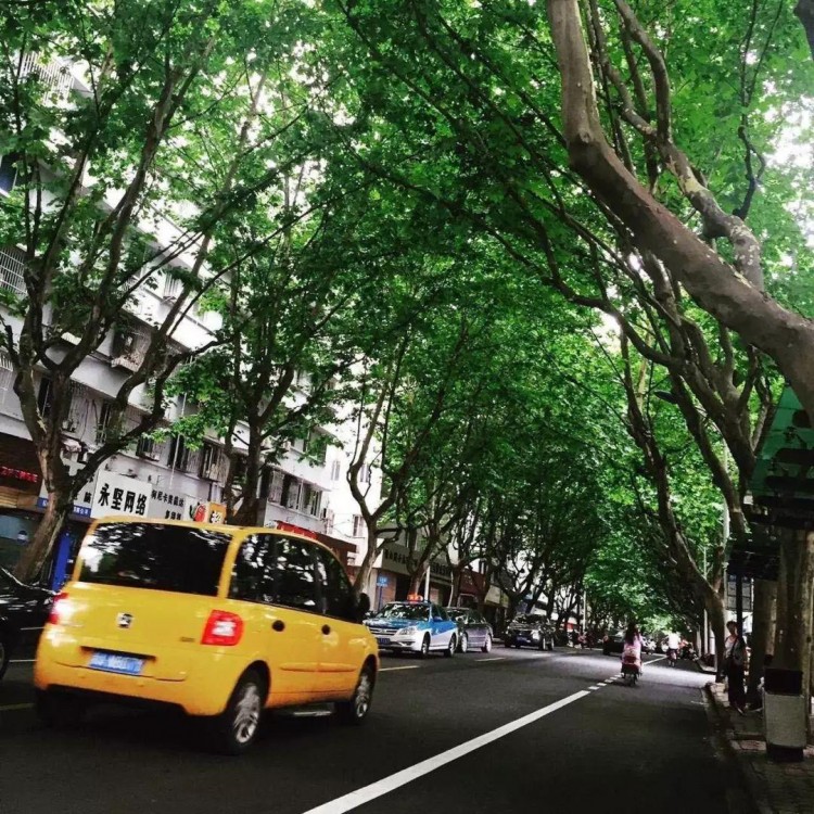 5b0988e595225.cdn.sohucs