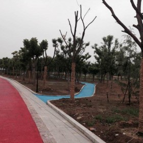 邛崍市 彩色混凝土壓花路面 壓花地坪 公路材料建材壓花地坪 透水混泥土