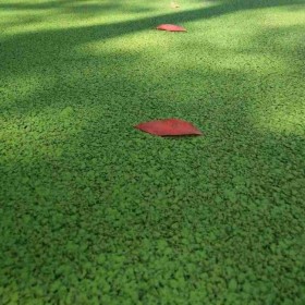 武漢市 透水混凝土 透水混凝土廠家 園林景觀、學校操場地坪 口碑推薦