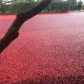 云南透水混凝土增強劑 c20透水混凝土 彩色透水砼膠粉廠家 免費輔導