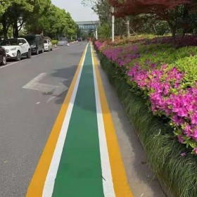 c30彩色透水混凝土 園林道路彩色混凝土 操場彩色混凝土