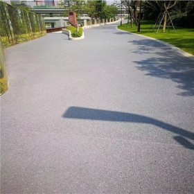 透水性混凝土彩色路面 露骨彩色透水混凝土 生態(tài)透水地坪 工程案例