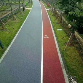 天然露骨透水路面 彩色透水地坪罩面劑 透水混凝土廠家直銷