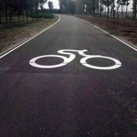 甘孜州 彩色透水混凝土路 露骨彩色透水混凝土 生態透水混凝土地坪 材料制作廠