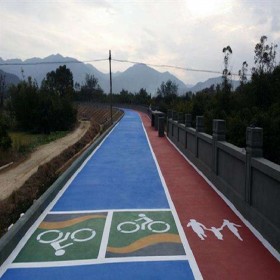 臨夏州 透水性混凝土 人行道彩色透水混凝土 盲道透水混凝土 專業接單