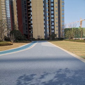 大英縣 透水混凝土綠道 室外透水路面 彩色混凝土罩面劑 免費輔導(dǎo) 量大從優(yōu)